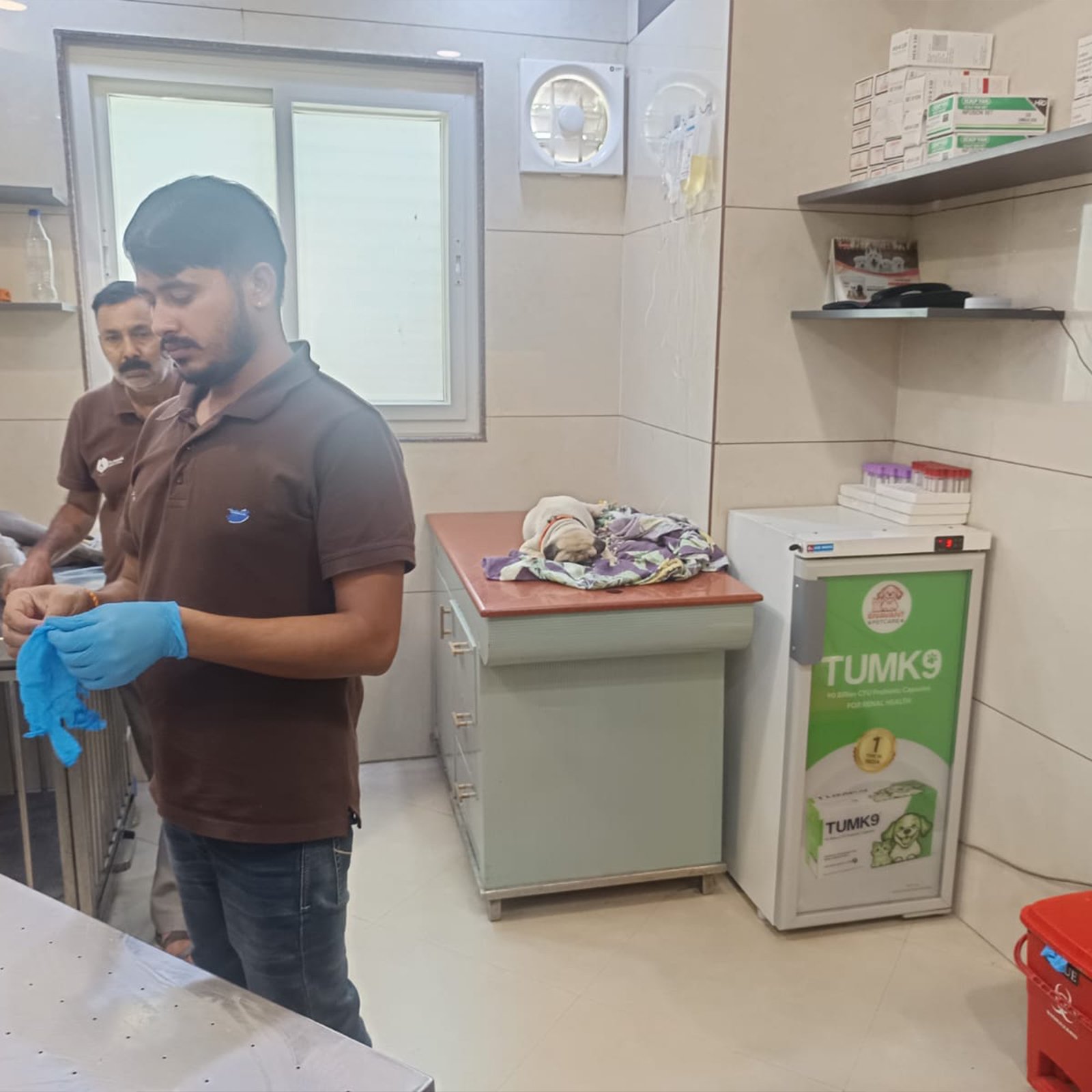 dr-anand-pet-clinic-8