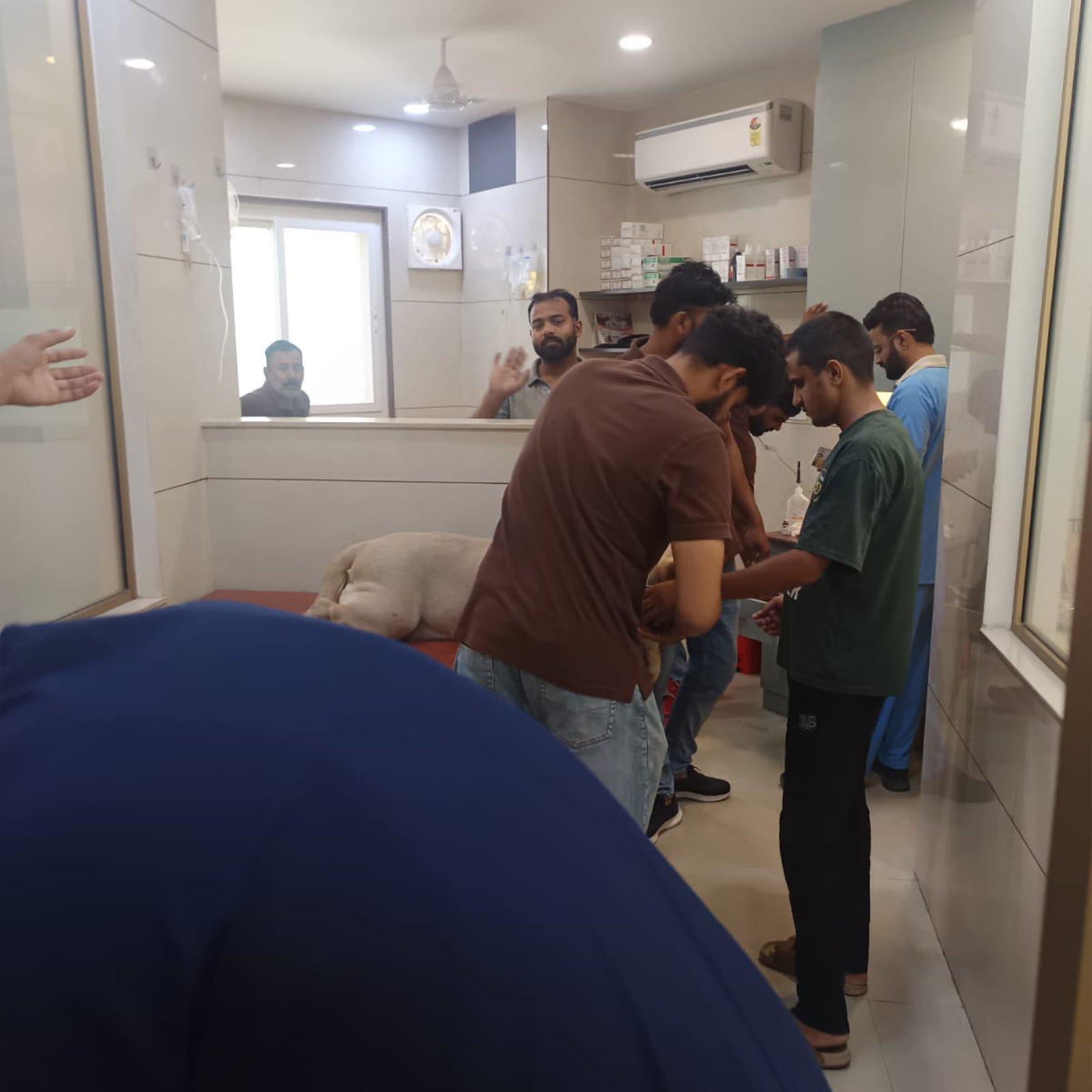 dr-anand-pet-clinic-10