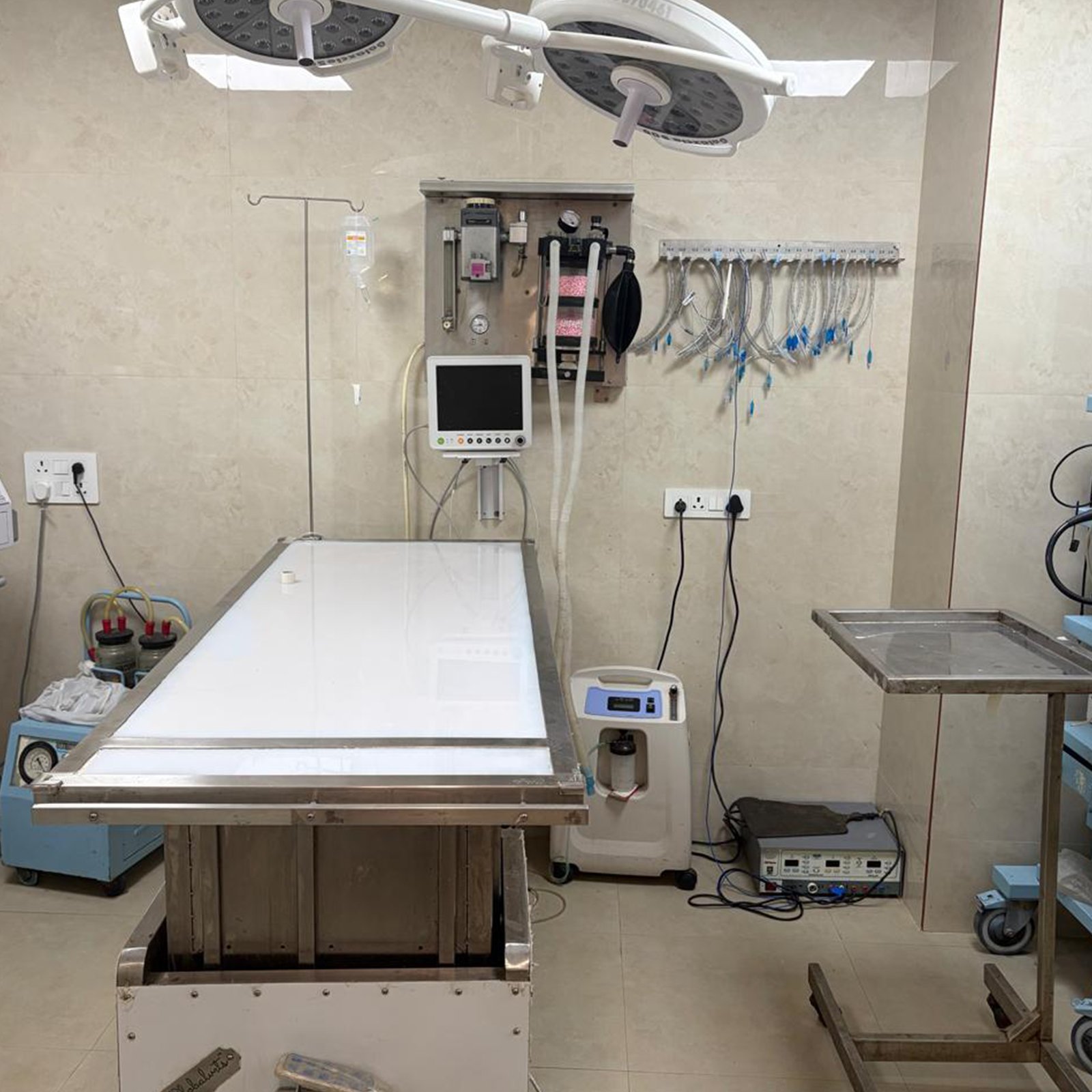 dr-anand-pet-clinic-13