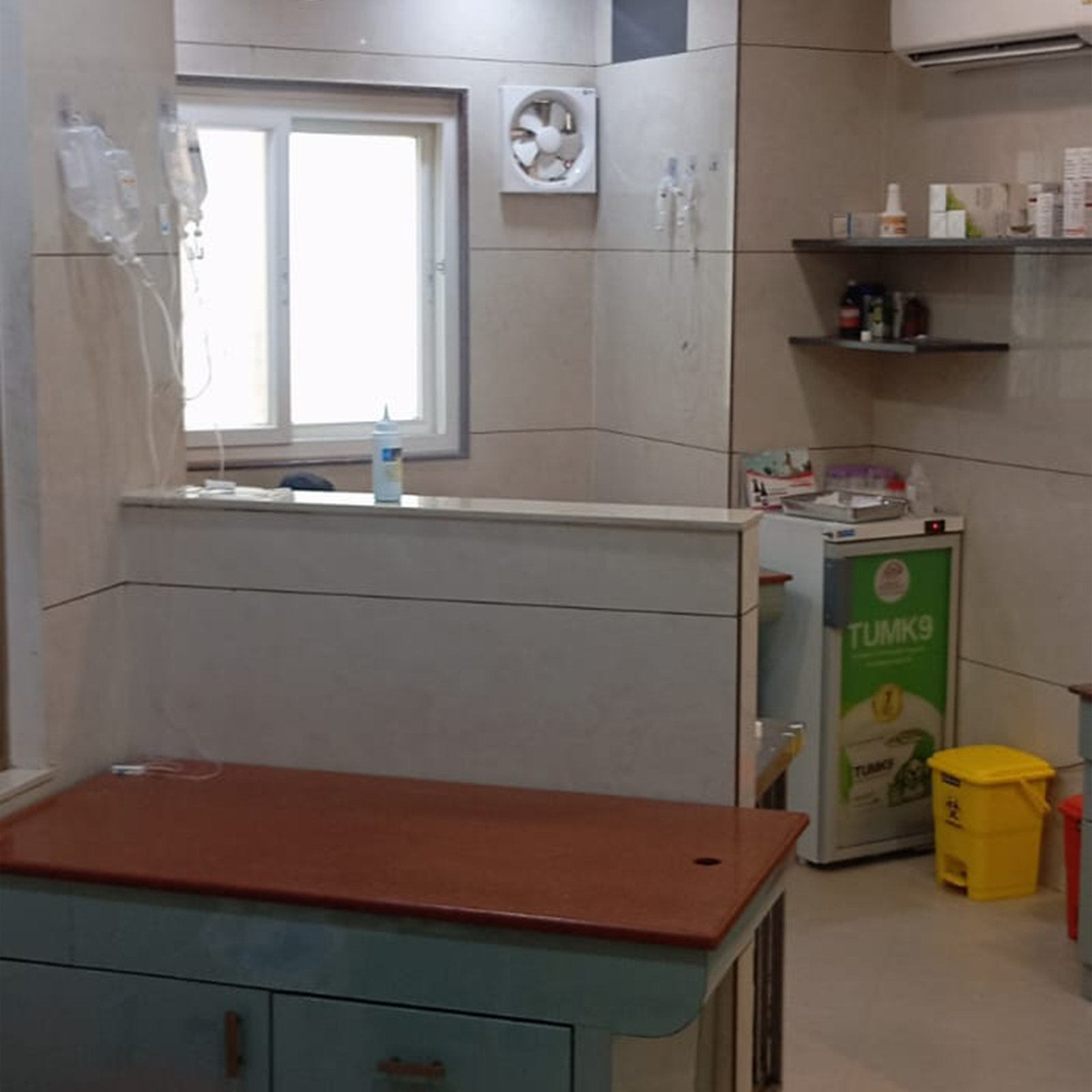 dr-anand-pet-clinic-25