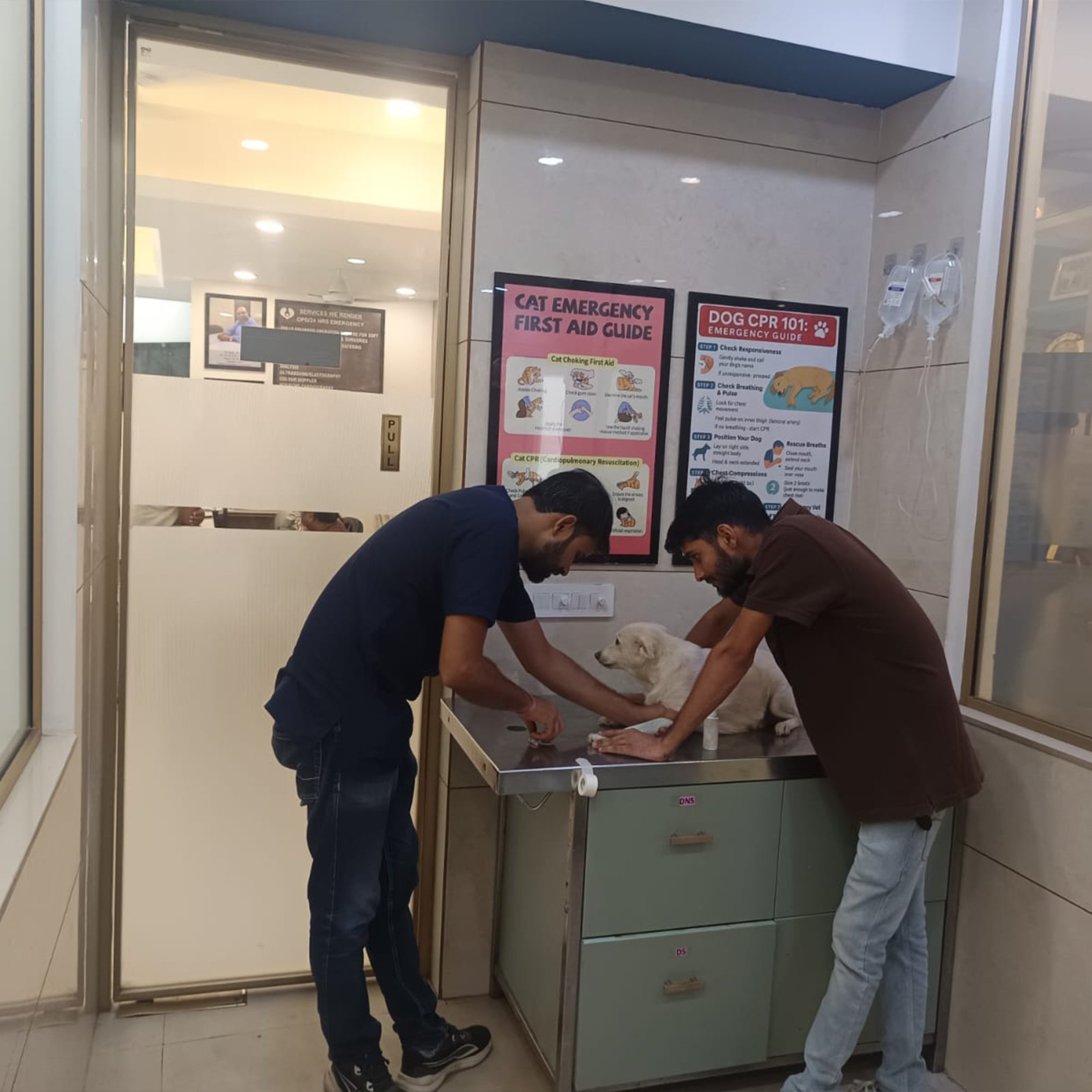 dr-anand-pet-clinic-28