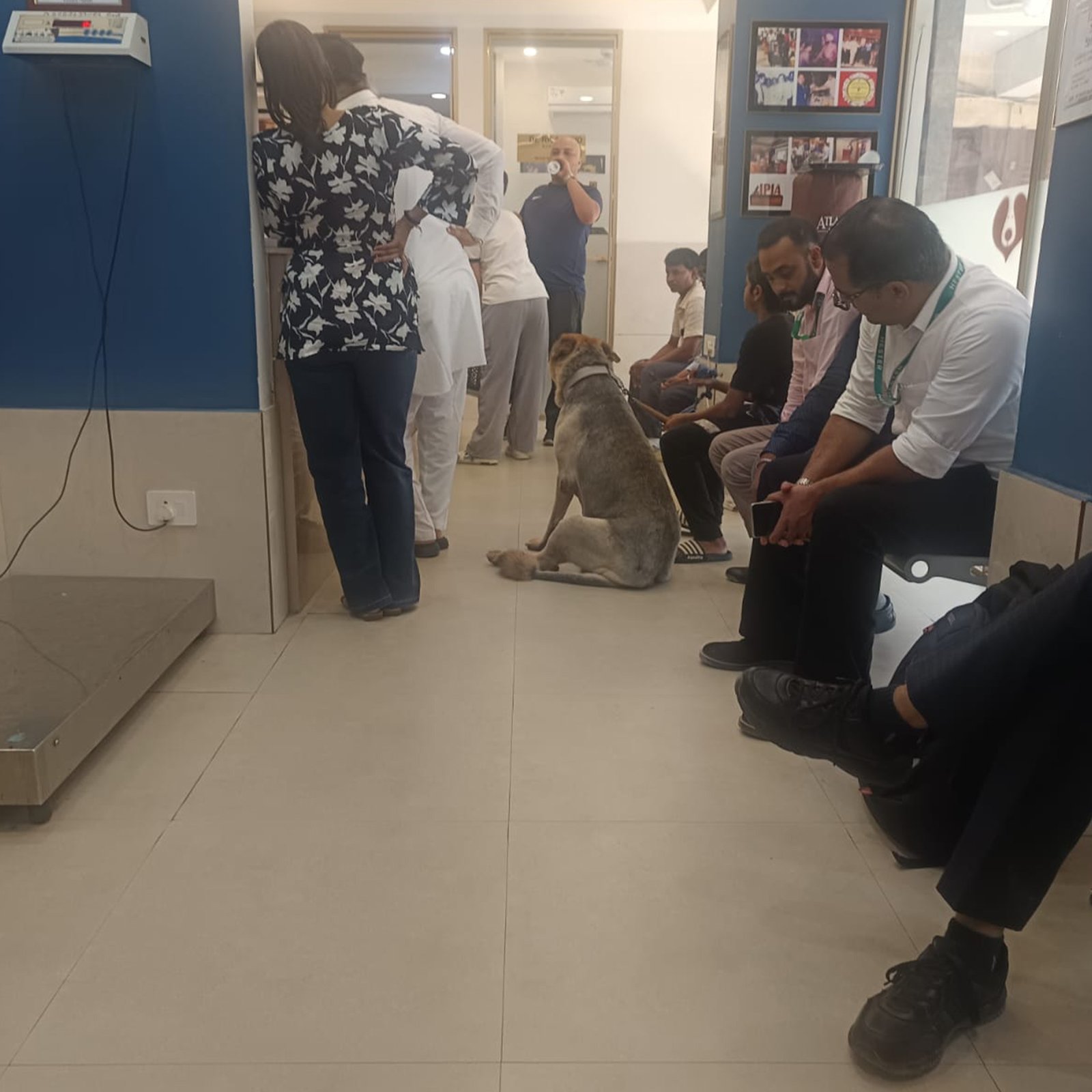 dr-anand-pet-clinic-34