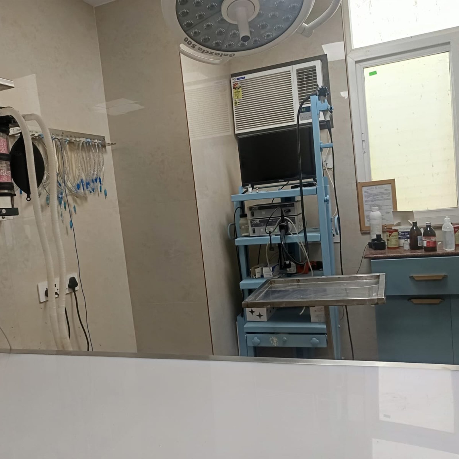 dr-anand-pet-clinic-4