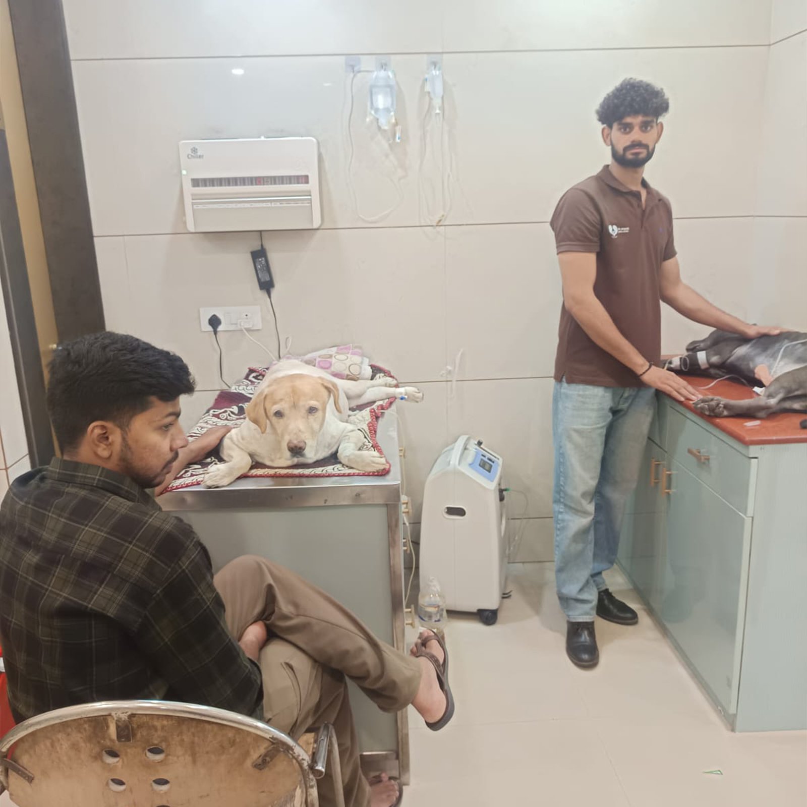 dr-anand-pet-clinic-5